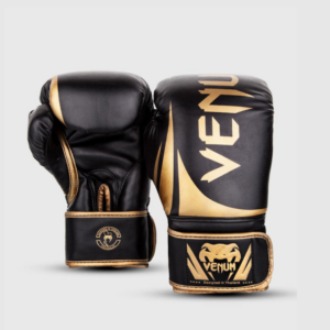 Venum boxing gloves, boxing gear, training gloves, sparring gloves, boxing equipment, 10oz gloves, 14oz gloves, synthetic leather gloves, fight gear, pro boxing gloves