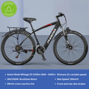 Zuheri Sports Phoenix e-bike