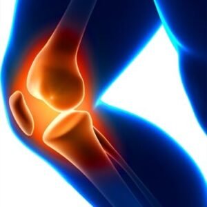 patella support brace, knee brace, knee support, tendonitis brace, jumper’s knee, runner’s knee, athletic brace, compression knee strap, adjustable knee band, sports knee brace, breathable brace, knee protection, knee pain relief, neoprene knee strap, ergonomic knee brace, gym support gear