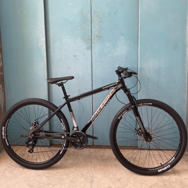Raleigh x Phillips Mountain Bike, mountain bike, 29-inch mountain bike, hardtail bike, lightweight aluminum bike, trail bike, LT-WOO A5 groupset, 30-speed mountain bike, mechanical disc brakes, durable mountain bike, high-performance mountain bike, mountain biking