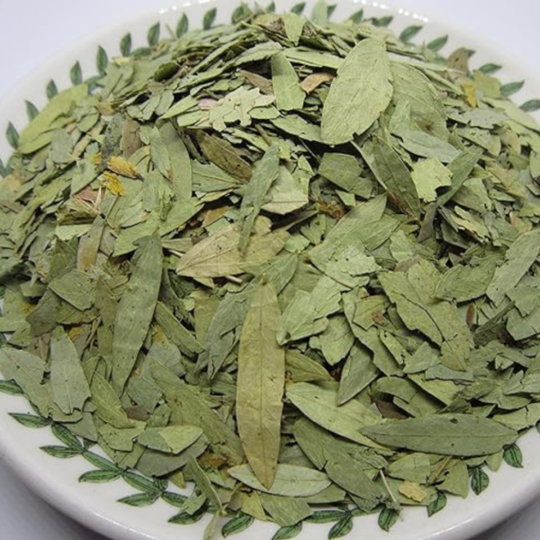 organic herbal tea, power tree tea, moringa tea, guava leaf tea, soursop tea, caffeine-free tea, immune support tea, detox tea, digestion tea, lemongrass tea, natural energy tea, antioxidant tea, wellness tea