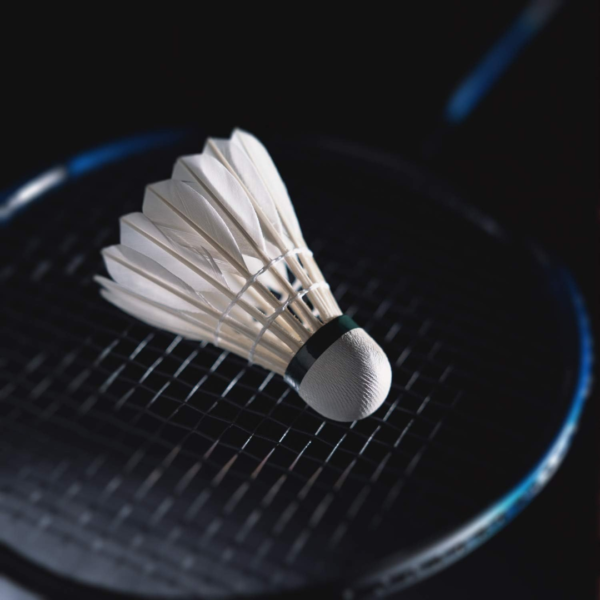 professional badminton shuttlecocks, durable shuttlecocks, feather badminton shuttlecocks, cork base shuttlecocks, training shuttlecocks, competitive play shuttlecocks, singles shuttlecock, dozen badminton shuttlecocks, premium shuttlecocks, reliable badminton equipment