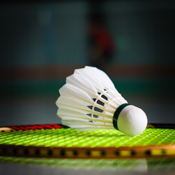 professional badminton shuttlecocks, durable shuttlecocks, feather badminton shuttlecocks, cork base shuttlecocks, training shuttlecocks, competitive play shuttlecocks, singles shuttlecock, dozen badminton shuttlecocks, premium shuttlecocks, reliable badminton equipment