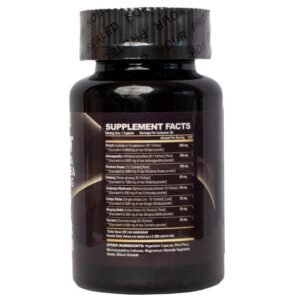 Shilajit, Ashwagandha, Rhodiola Rosea, Panax Ginseng, stress relief, focus, energy booster, natural supplement, adaptogens, brain health