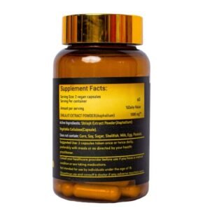 Shilajit, energy booster, stamina, natural supplement, Himalayan extract, focus, men’s health, adaptogen, anti-fatigue, wellness capsule